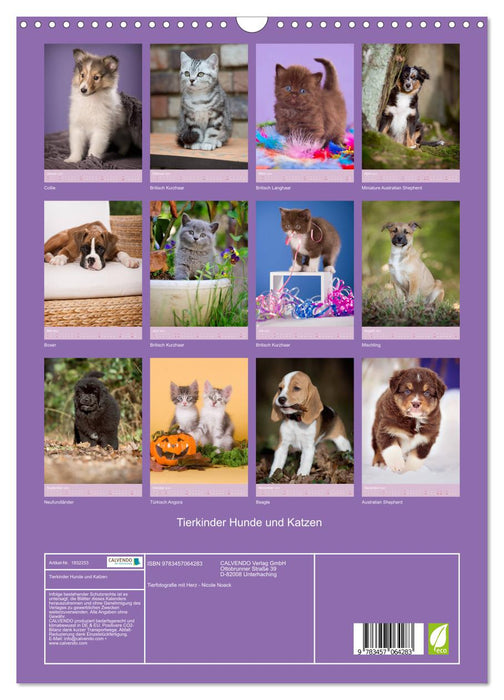 Tierkinder Hunde und Katzen (CALVENDO Wandkalender 2025)