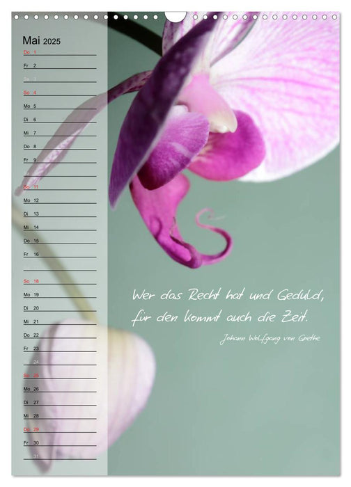 Blumen & Zitate / Geburtstagskalender (CALVENDO Wandkalender 2025)