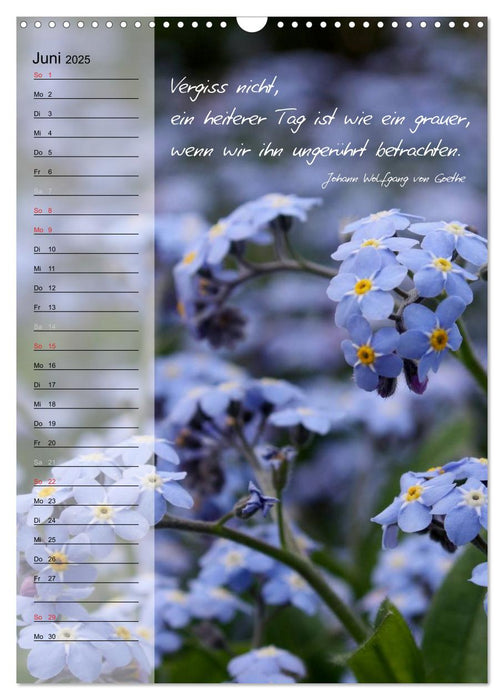 Blumen & Zitate / Geburtstagskalender (CALVENDO Wandkalender 2025)