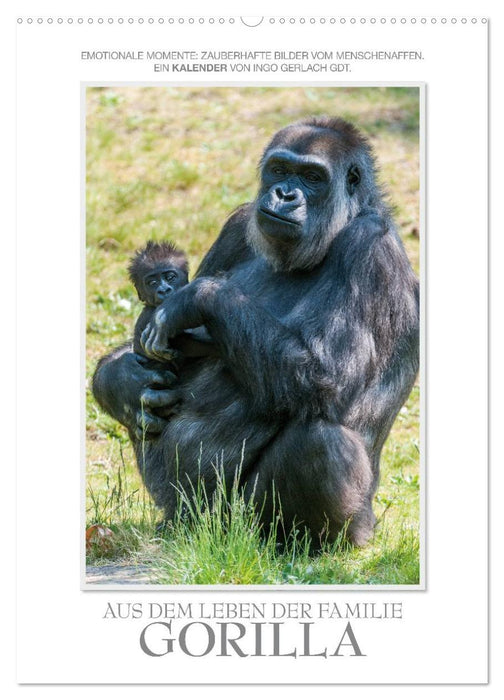 Emotionale Momente: Aus dem Leben der Familie Gorilla. (CALVENDO Wandkalender 2025)