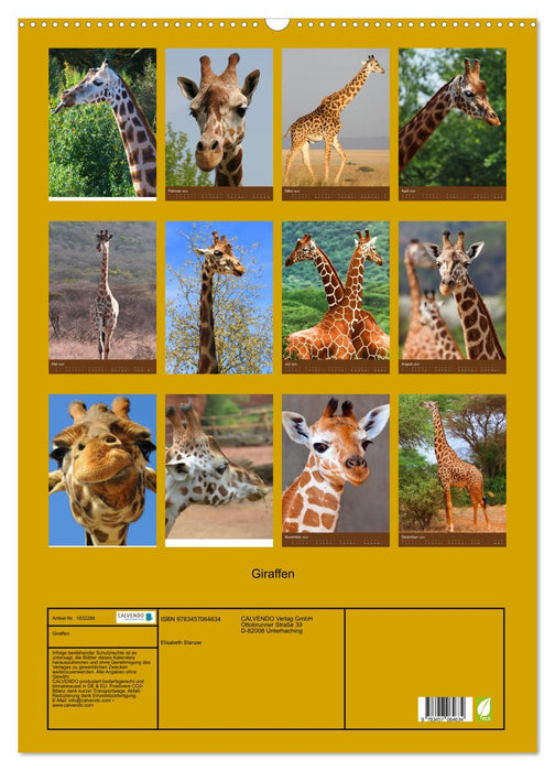 Giraffen (CALVENDO Wandkalender 2025)