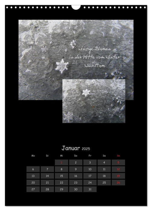 Haiga (CALVENDO Wandkalender 2025)