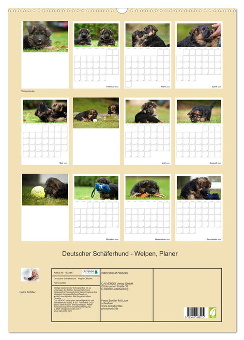 Deutscher Schäferhund - Welpen, Planer (CALVENDO Wandkalender 2025)