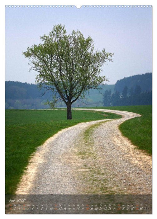 Gehe Deinen Weg (CALVENDO Wandkalender 2025)