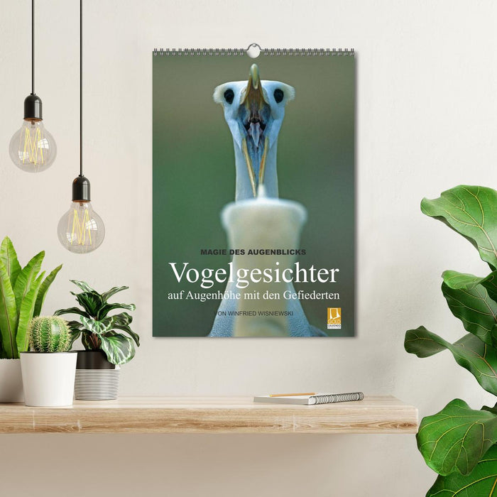 Magie des Augenblicks - Vogelgesichter - auf Augenhöhe mit den Gefiederten (CALVENDO Wandkalender 2025)