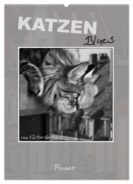 Katzen Blues / Planer (CALVENDO Wandkalender 2025)