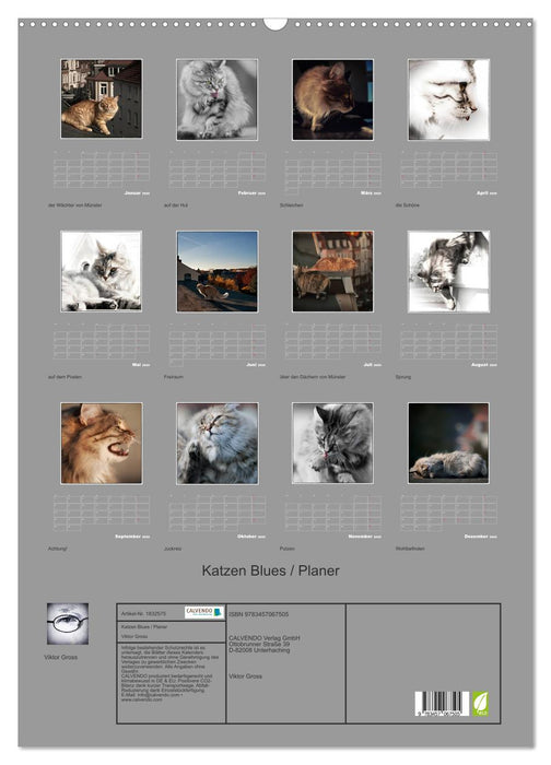 Katzen Blues / Planer (CALVENDO Wandkalender 2025)