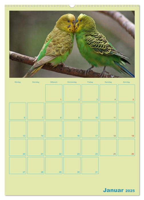 Vogelfreundschaften / Planer (CALVENDO Wandkalender 2025)