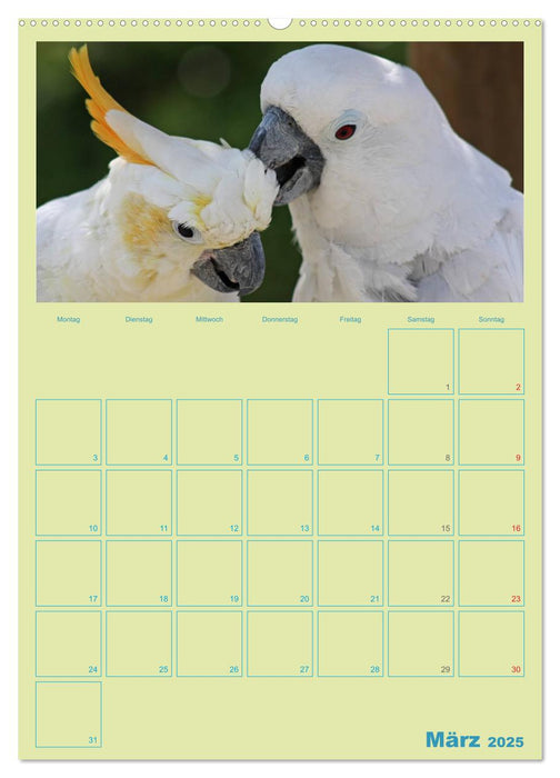 Vogelfreundschaften / Planer (CALVENDO Wandkalender 2025)