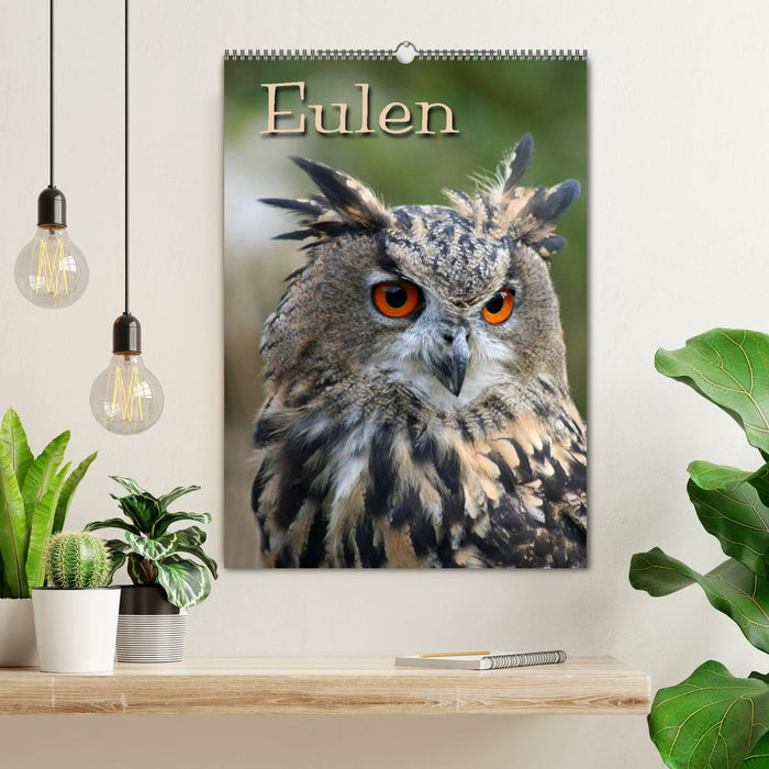 Eulen (CALVENDO Wandkalender 2025)