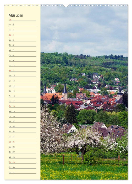 Stadt Schlüchtern (CALVENDO Wandkalender 2025)