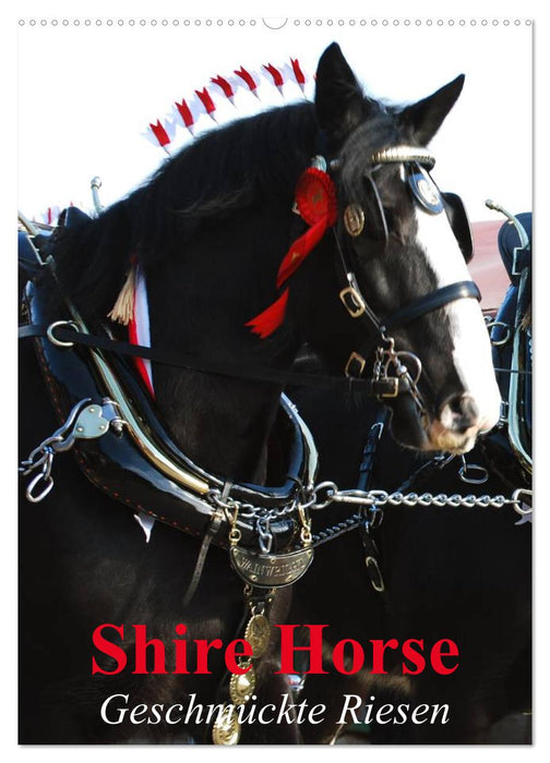 Shire Horse - Geschmückte Riesen (CALVENDO Wandkalender 2025)