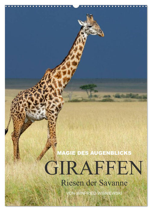 Magie des Augenblicks - Giraffen - Riesen der Savanne (CALVENDO Wandkalender 2025)