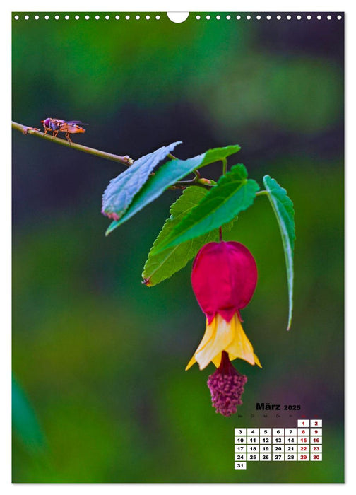 Spaß mit bunten Blümchen (CALVENDO Wandkalender 2025)