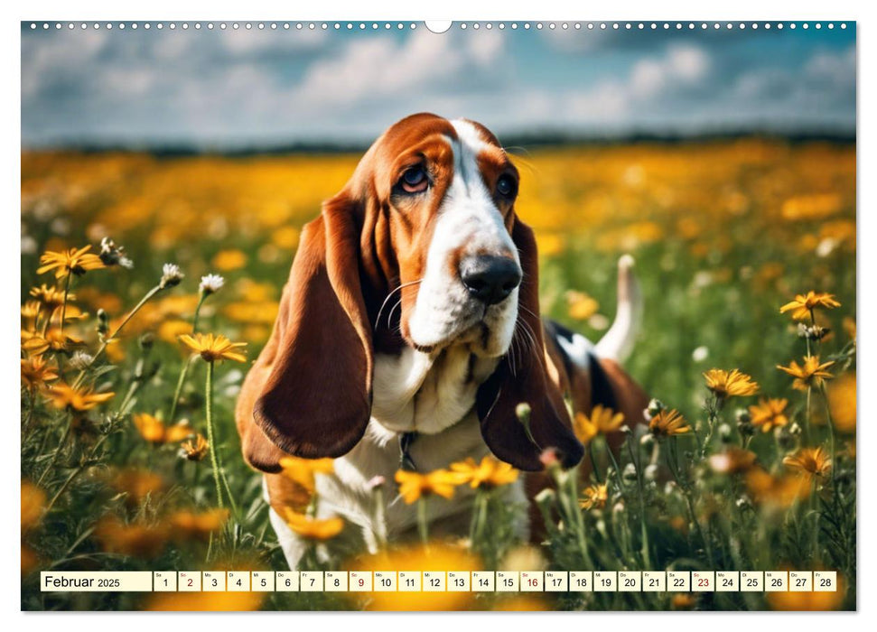 Basset Hound - unverkennbar (CALVENDO Premium Wandkalender 2025)