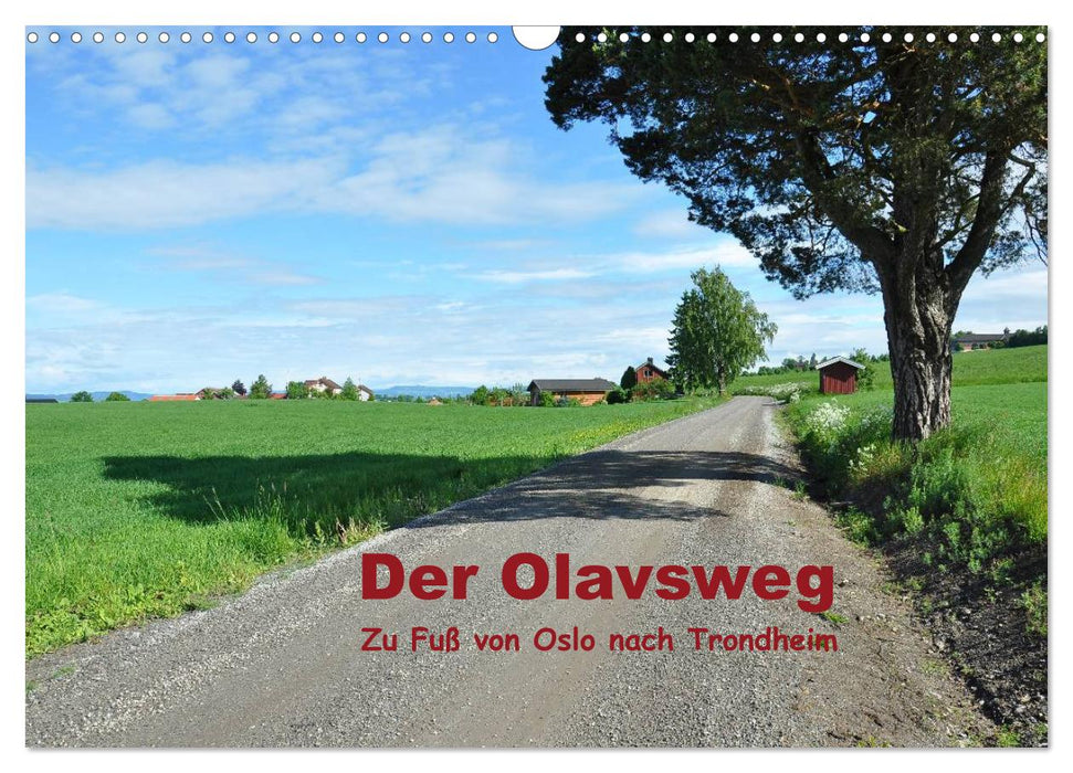 Der Olavsweg (CALVENDO Wandkalender 2025)