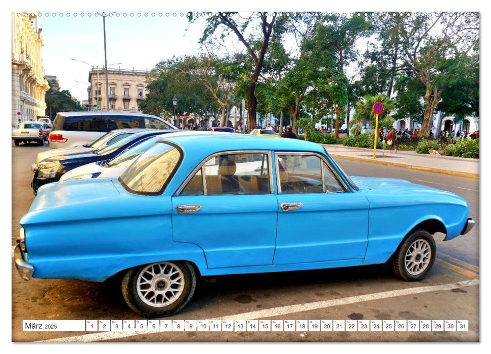 Ford Falcon (CALVENDO Wandkalender 2025)