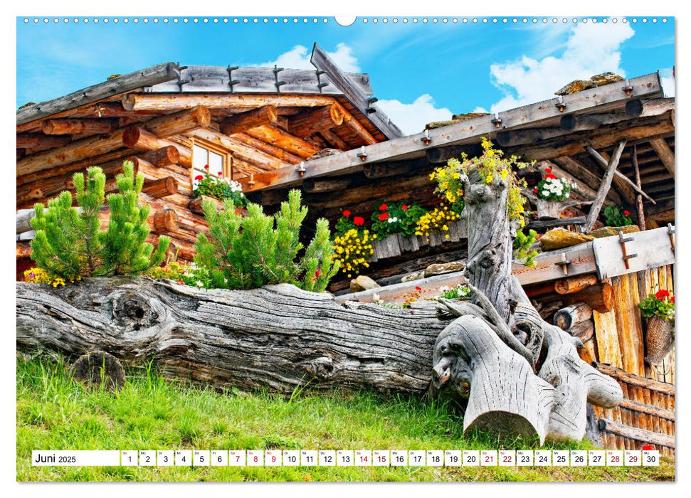 Almen im Südtiroler Ultental (CALVENDO Premium Wandkalender 2025)