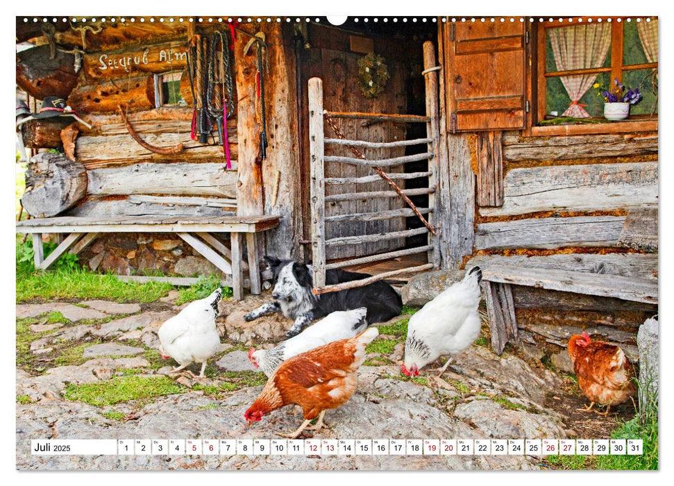 Almen im Südtiroler Ultental (CALVENDO Premium Wandkalender 2025)