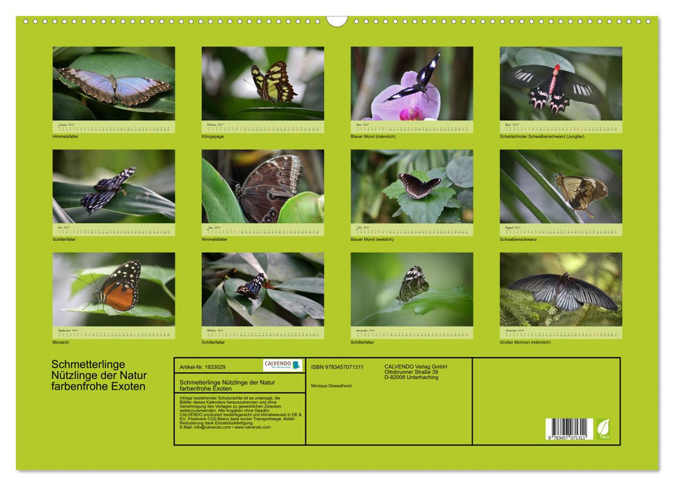 Schmetterlinge Nützlinge der Natur farbenfrohe Exoten (CALVENDO Wandkalender 2025)