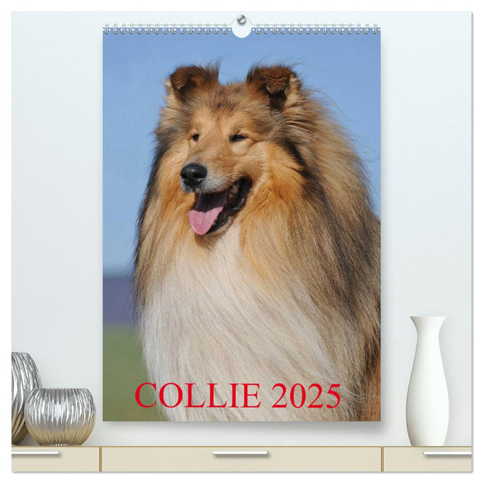 Collie 2025 (CALVENDO Premium Wandkalender 2025)