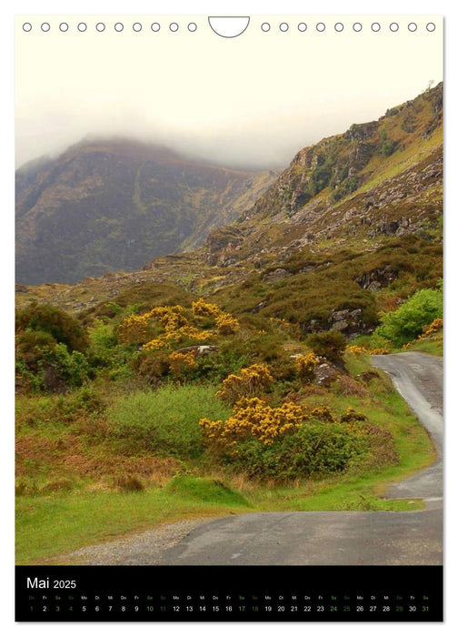 Traumhaftes Irland (CALVENDO Wandkalender 2025)