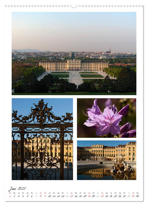 Schloss Schönbrunn im Wandel der Jahreszeiten (CALVENDO Premium Wandkalender 2025)