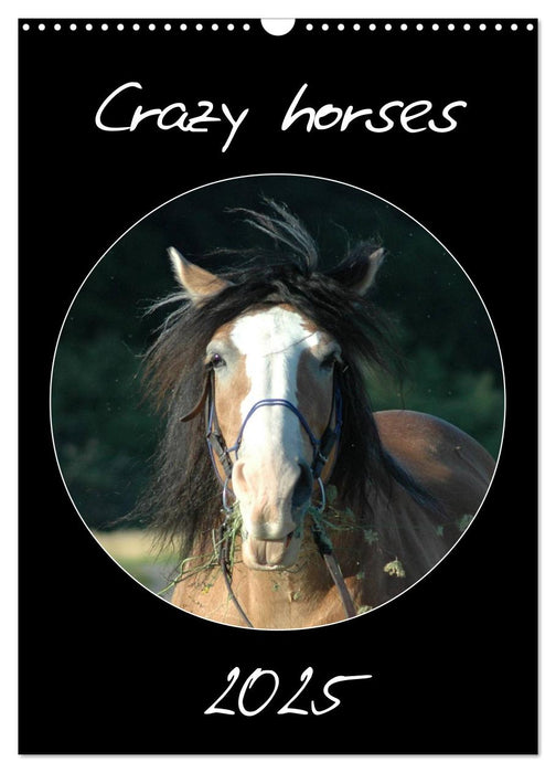 Crazy horses (CALVENDO Wandkalender 2025)