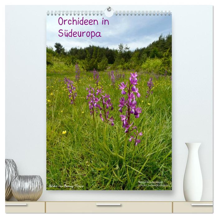 Orchideen in Südeuropa (CALVENDO Premium Wandkalender 2025)