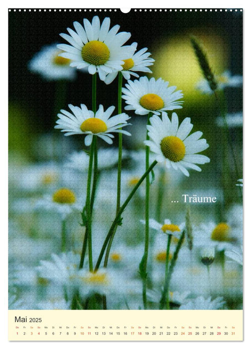 flowers (CALVENDO Premium Wandkalender 2025)