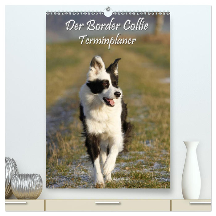 Der Border Collie Terminplaner (CALVENDO Premium Wandkalender 2025)