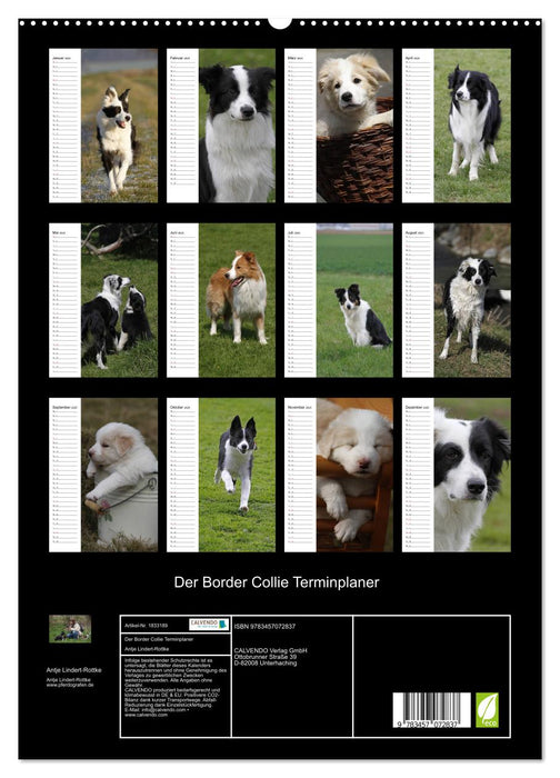 Der Border Collie Terminplaner (CALVENDO Premium Wandkalender 2025)