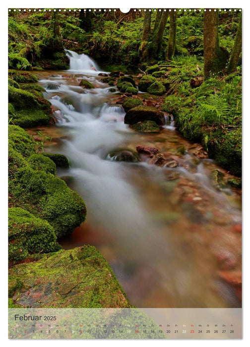 Alles im Fluss - Schwarzwaldwasser (CALVENDO Premium Wandkalender 2025)