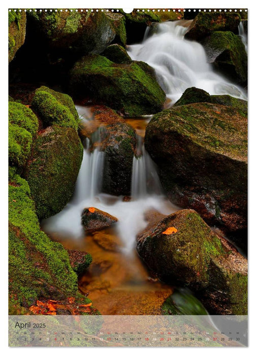 Alles im Fluss - Schwarzwaldwasser (CALVENDO Premium Wandkalender 2025)