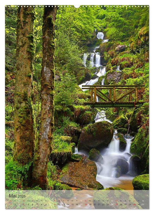 Alles im Fluss - Schwarzwaldwasser (CALVENDO Premium Wandkalender 2025)