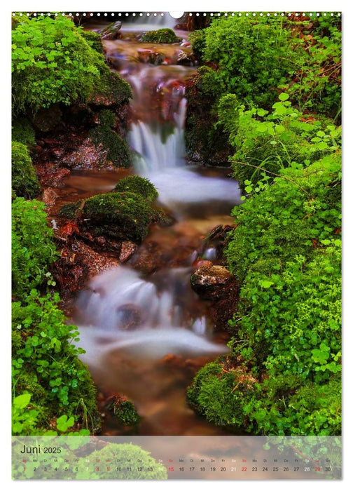 Alles im Fluss - Schwarzwaldwasser (CALVENDO Premium Wandkalender 2025)