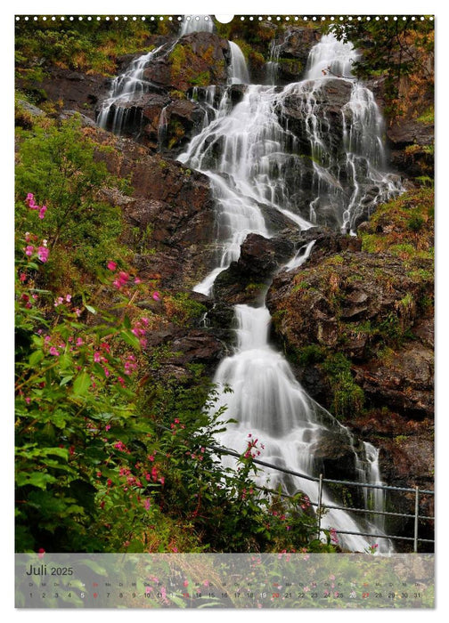 Alles im Fluss - Schwarzwaldwasser (CALVENDO Premium Wandkalender 2025)