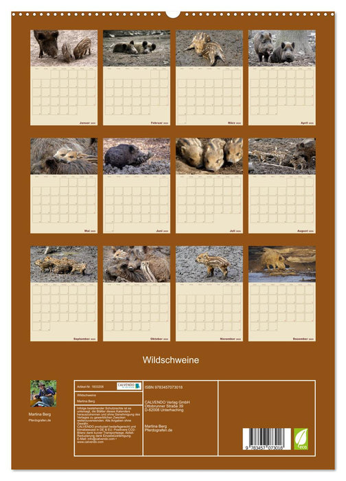 Wildschweine (CALVENDO Premium Wandkalender 2025)