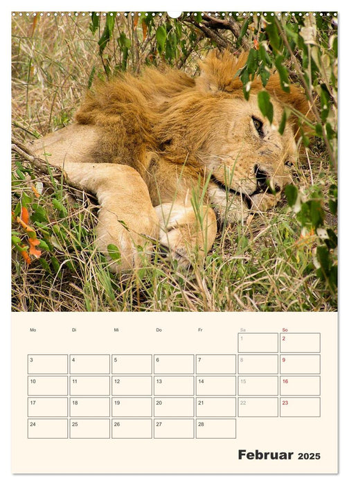 Kenia – Terminplaner (CALVENDO Premium Wandkalender 2025)