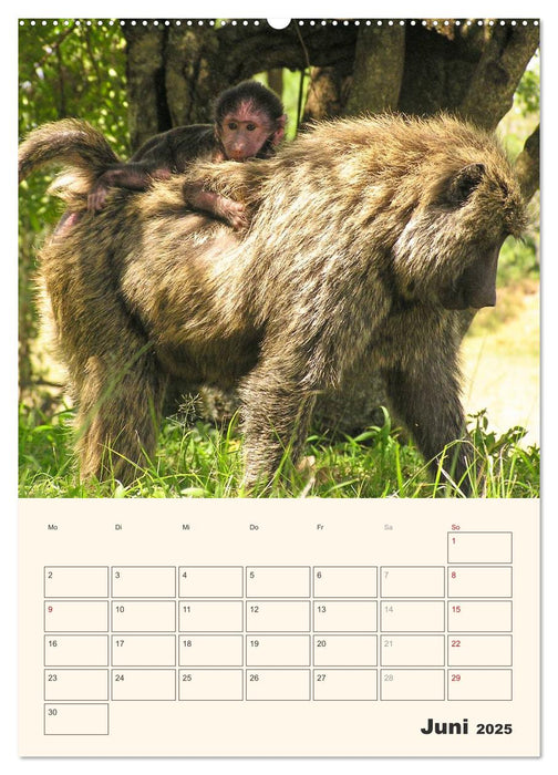 Kenia – Terminplaner (CALVENDO Premium Wandkalender 2025)