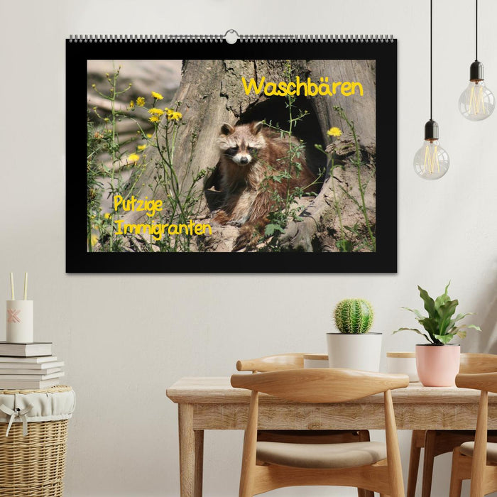 Waschbären (CALVENDO Wandkalender 2025)