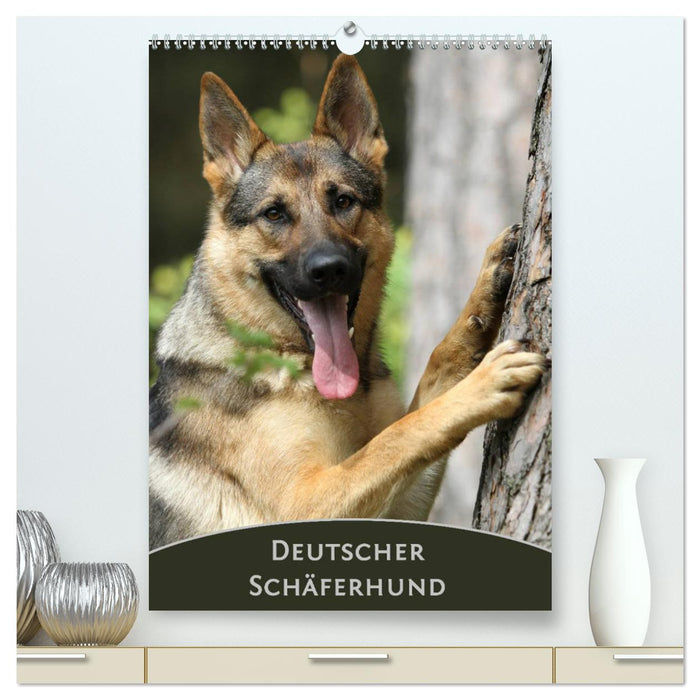 Deutscher Schäferhund (CALVENDO Premium Wandkalender 2025)
