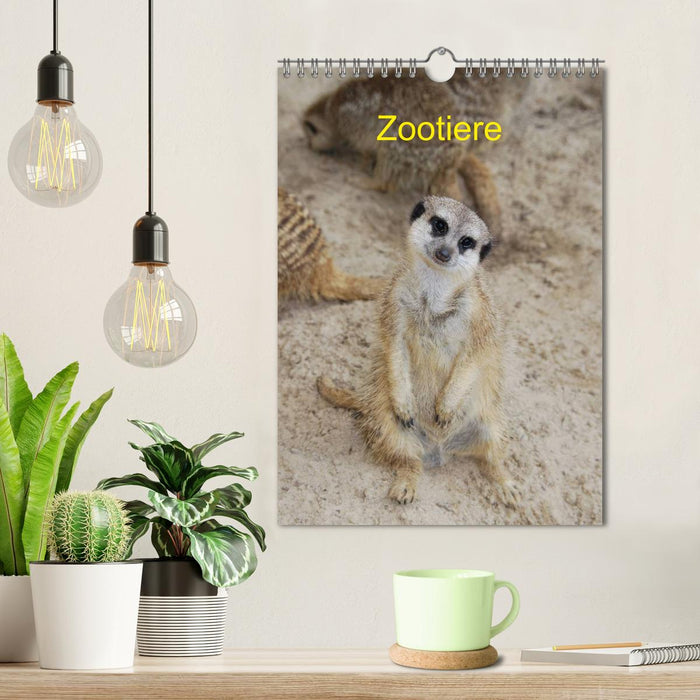 Zootiere (CALVENDO Wandkalender 2025)