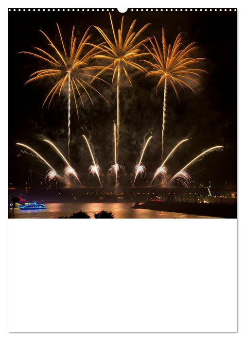 Feuerwerke Terminplaner (CALVENDO Premium Wandkalender 2025)