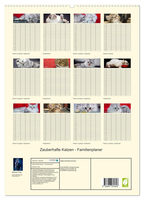 Zauberhafte Katzen - Familienplaner (CALVENDO Premium Wandkalender 2025)