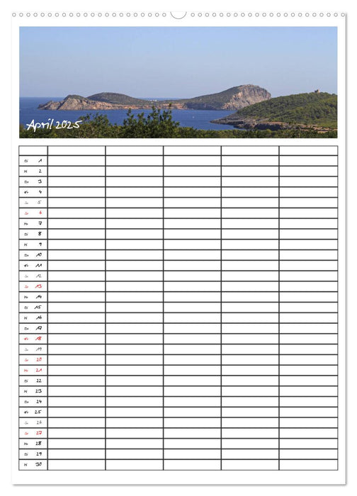 Ibiza / Familienplaner (CALVENDO Premium Wandkalender 2025)