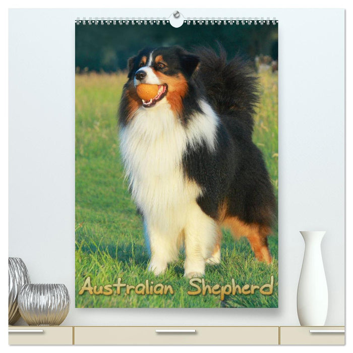 Australian Shepherd (CALVENDO Premium Wandkalender 2025)