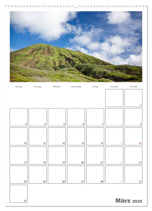 Hawaii - Terminplaner (CALVENDO Premium Wandkalender 2025)