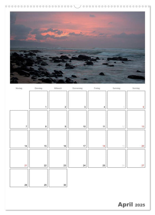 Hawaii - Terminplaner (CALVENDO Premium Wandkalender 2025)