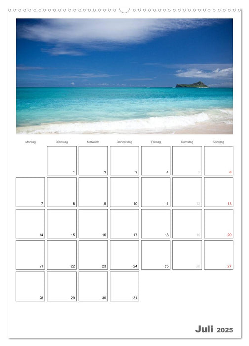 Hawaii - Terminplaner (CALVENDO Premium Wandkalender 2025)